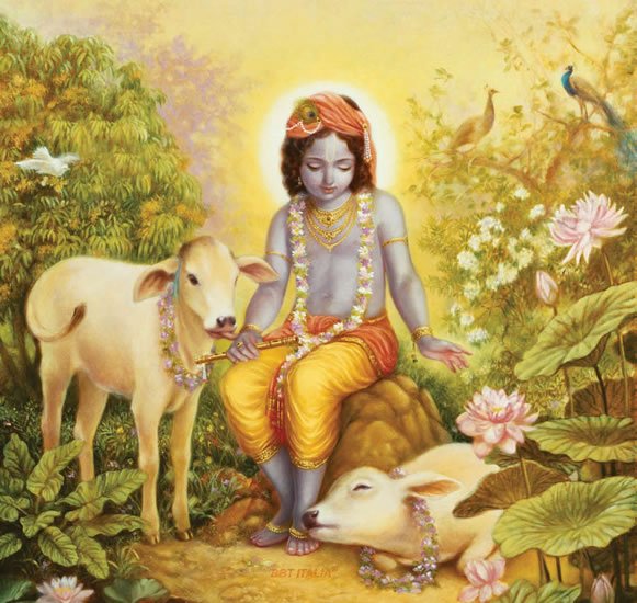 Krishna con i vitelli. (Dipinto di Dhruva Maharaja Dasa)